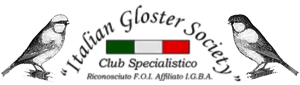 Italian Gloster Society